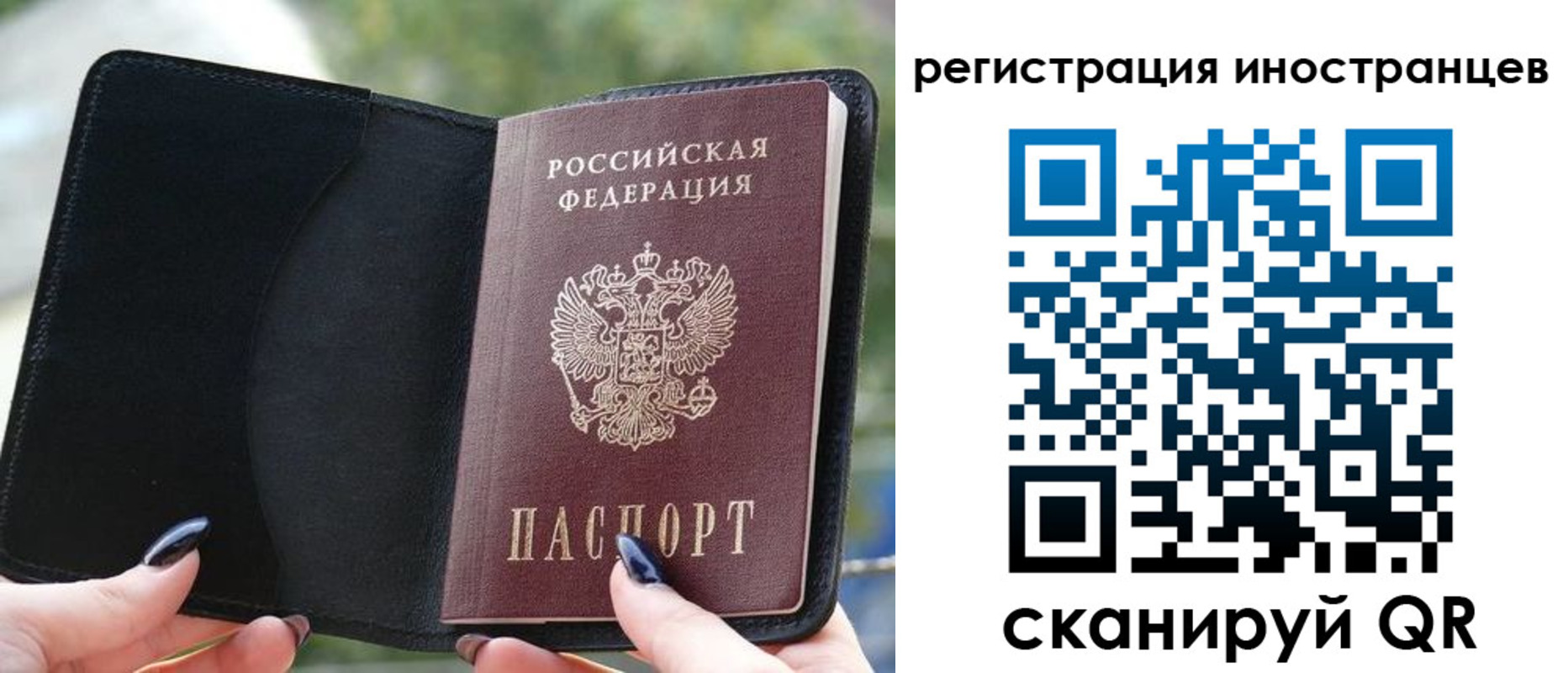 найти адрес прописки в Няндоме